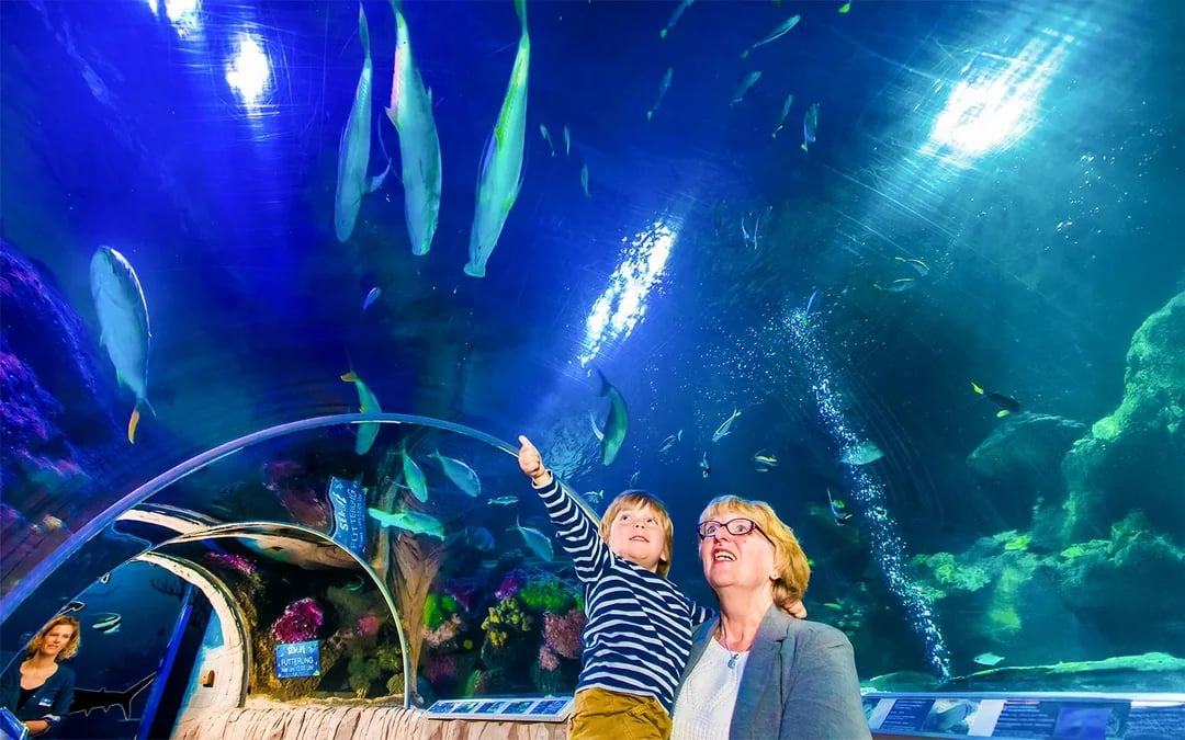 SEA LIFE Timmendorfer Strand Entry Tickets Image 9