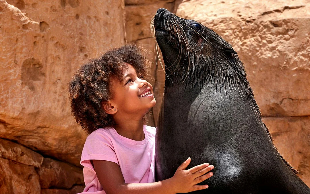 Sea Lion Encounter with Aquaventure Waterpark Tickets Image 3
