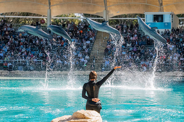 Sea World