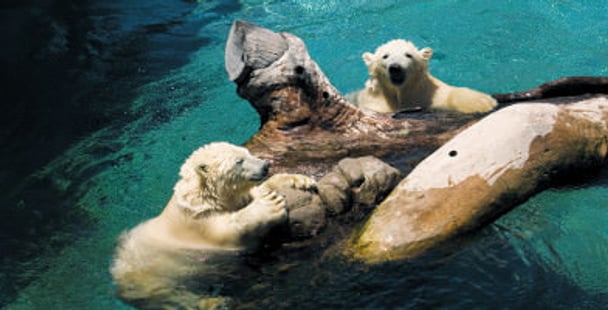 Sea World