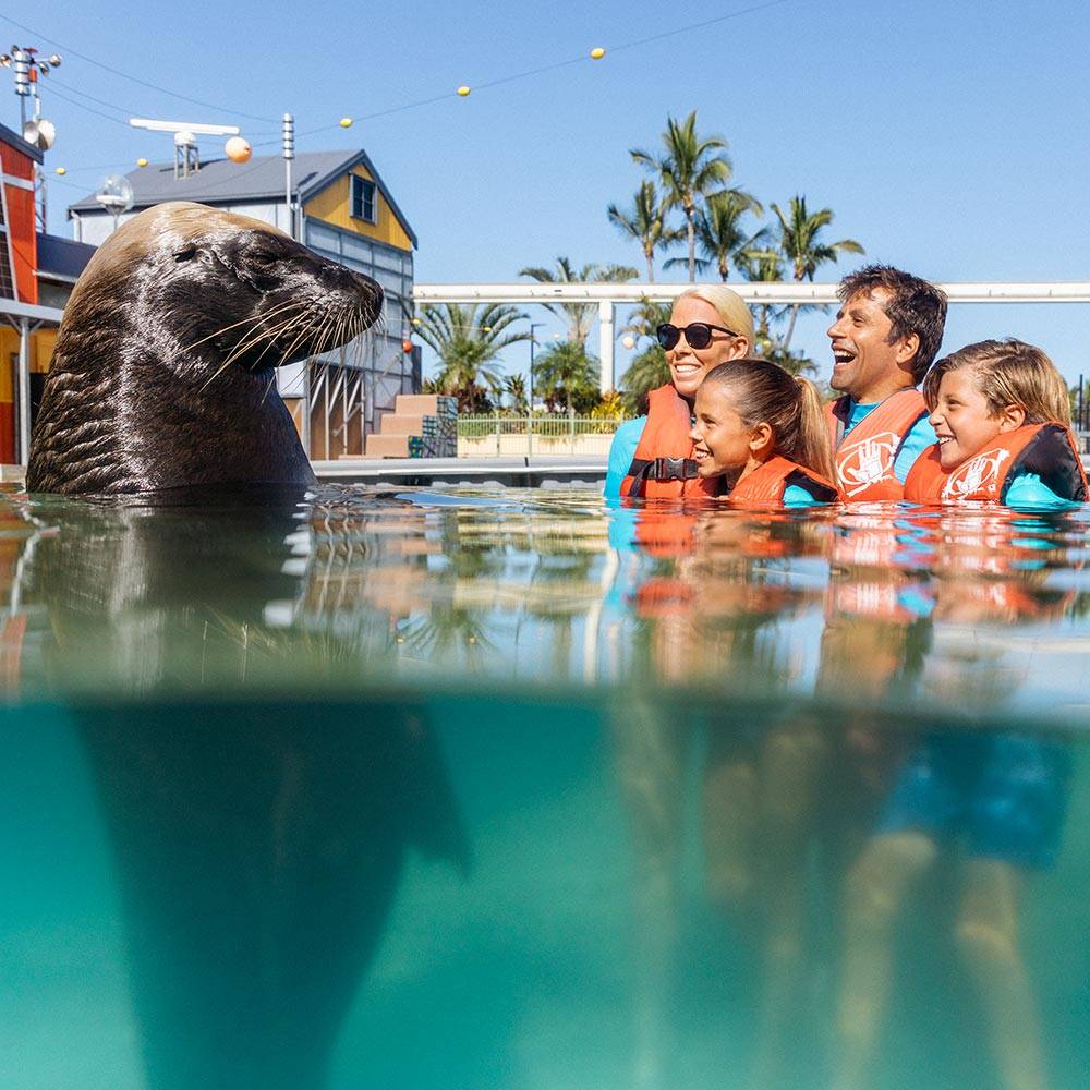 Sea World