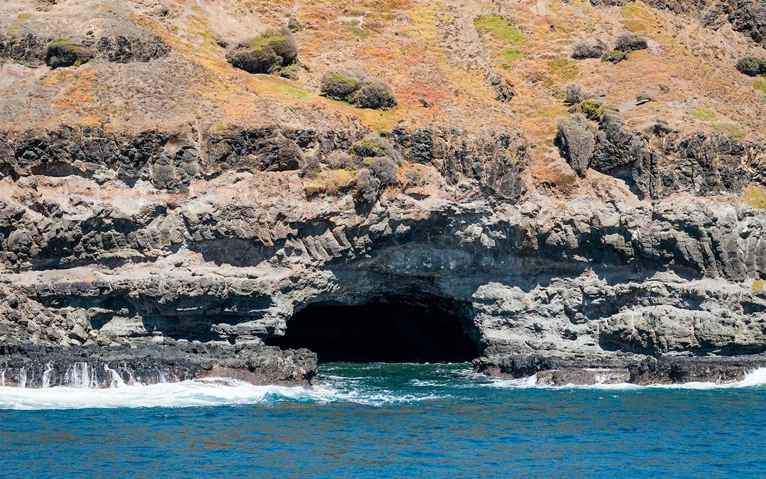 Seal Watching Afternoon Cruise at Phillip Island Image 12