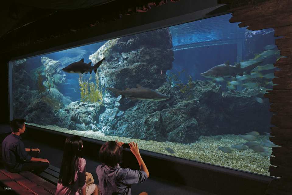 Sealife Ocean World & Madame Tussauds Ticket | Bangkok