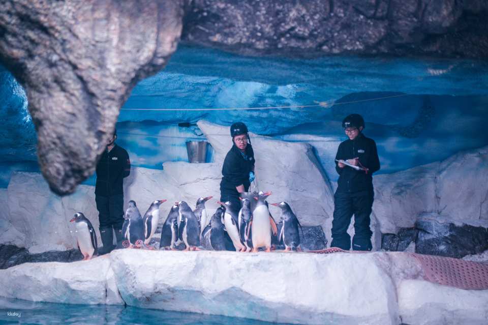 Sealife Ocean World & Madame Tussauds Ticket | Bangkok