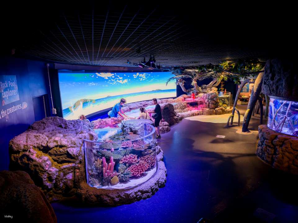 Sealife Ocean World & Madame Tussauds Ticket | Bangkok