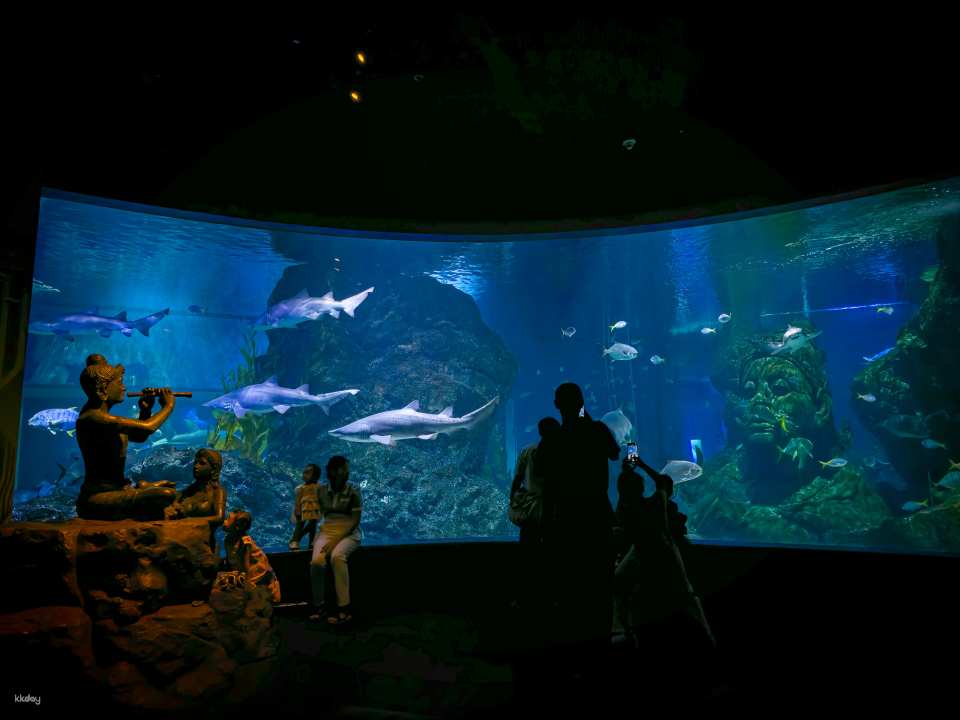 Sealife Ocean World & Madame Tussauds Ticket | Bangkok