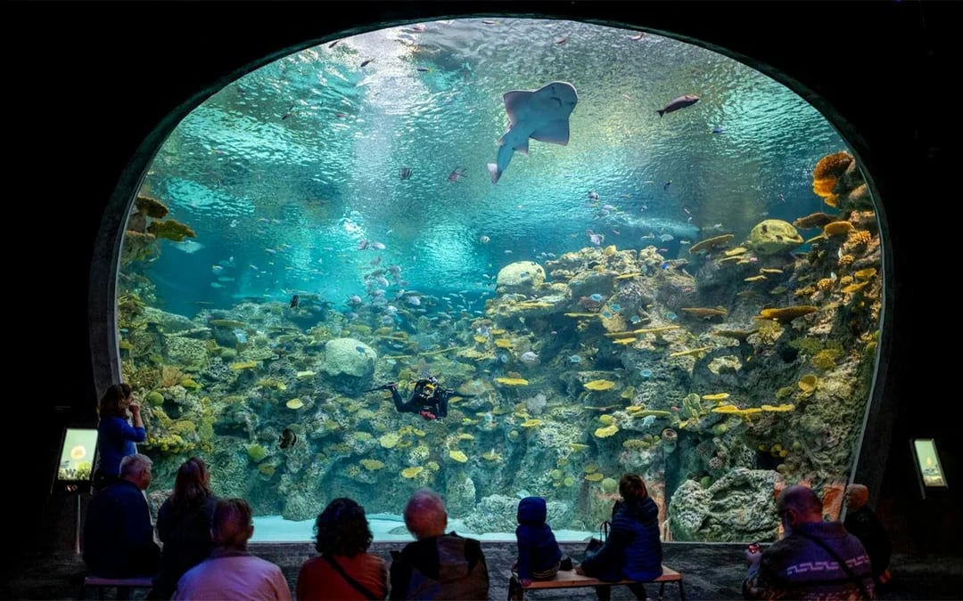 Seattle Aquarium Tickets Image 1