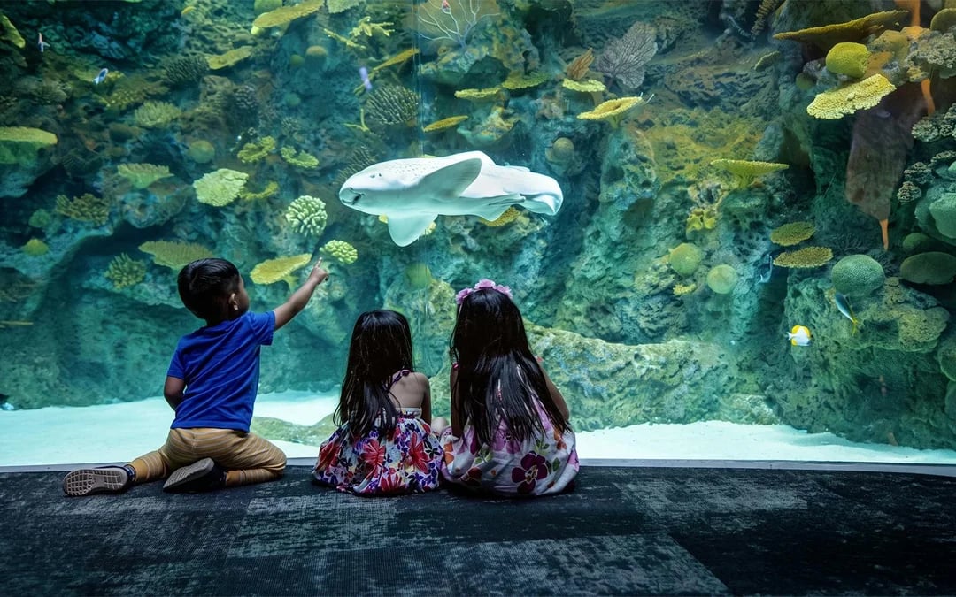Seattle Aquarium Tickets Image 4
