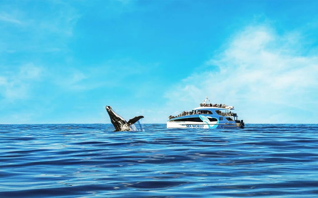 Seaworld 1-Day Pass with Gold Coast Whale Cruise by Seaworld Image 1