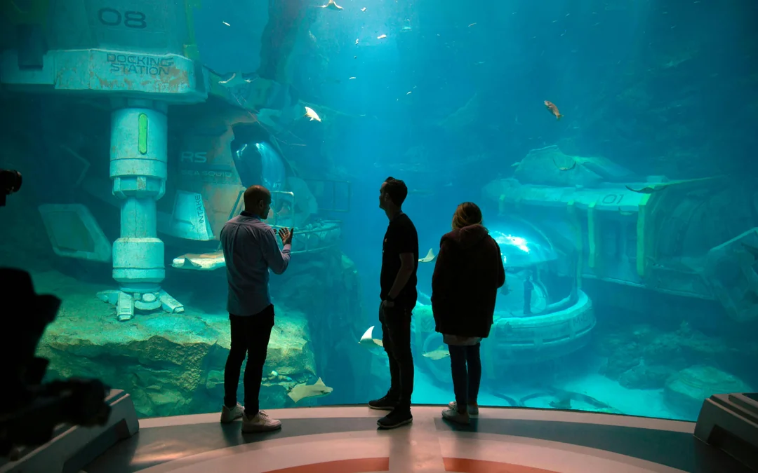 SeaWorld Abu Dhabi Tickets Image 2