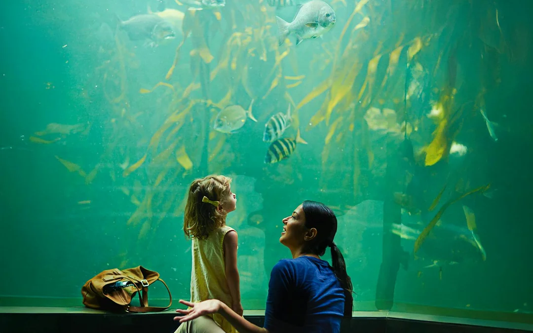 SeaWorld Orlando 2-Park Tickets Image 4