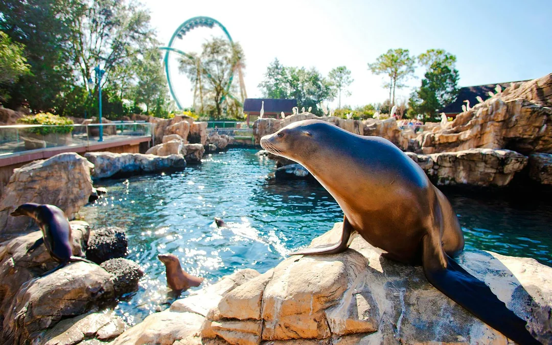 SeaWorld Orlando 2-Park Tickets Image 5