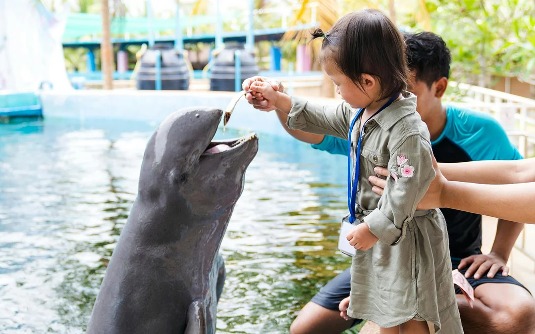 SeaWorld Orlando 3-Park Tickets Image 2