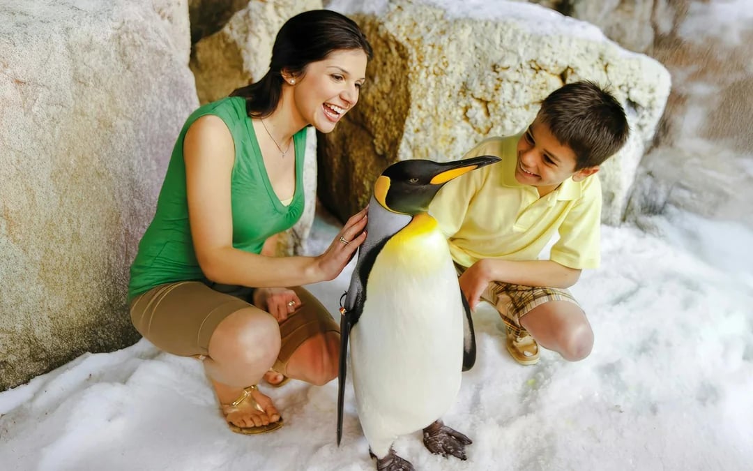 SeaWorld Orlando Annual Passes Image 7