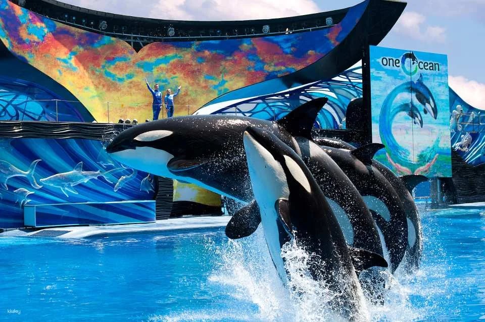 SeaWorld Orlando, Aquatica Orlando, Busch Gardens Tampa Bay & Adventure Island Tampa Bay Tickets | All-Day Dining Deal
