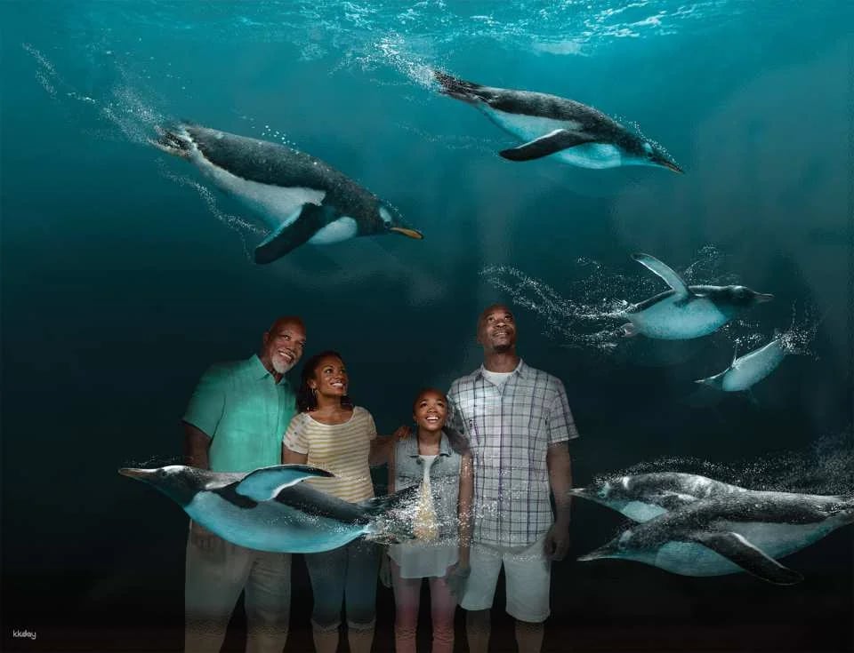 SeaWorld Orlando, Aquatica Orlando, Busch Gardens Tampa Bay & Adventure Island Tampa Bay Tickets | All-Day Dining Deal