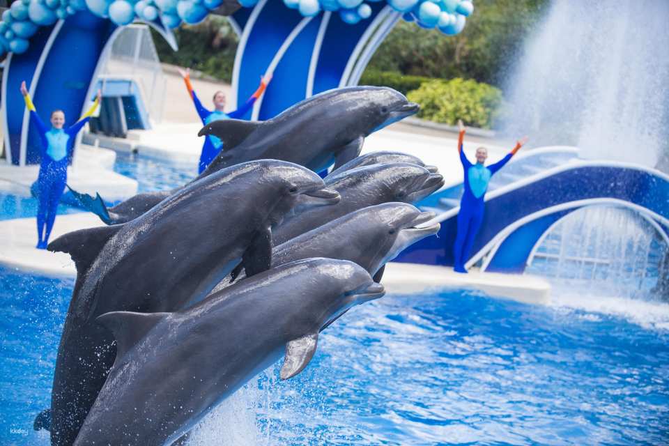 SeaWorld Orlando, Aquatica Orlando, Busch Gardens Tampa Bay & Adventure Island Tampa Bay Tickets | All-Day Dining Deal