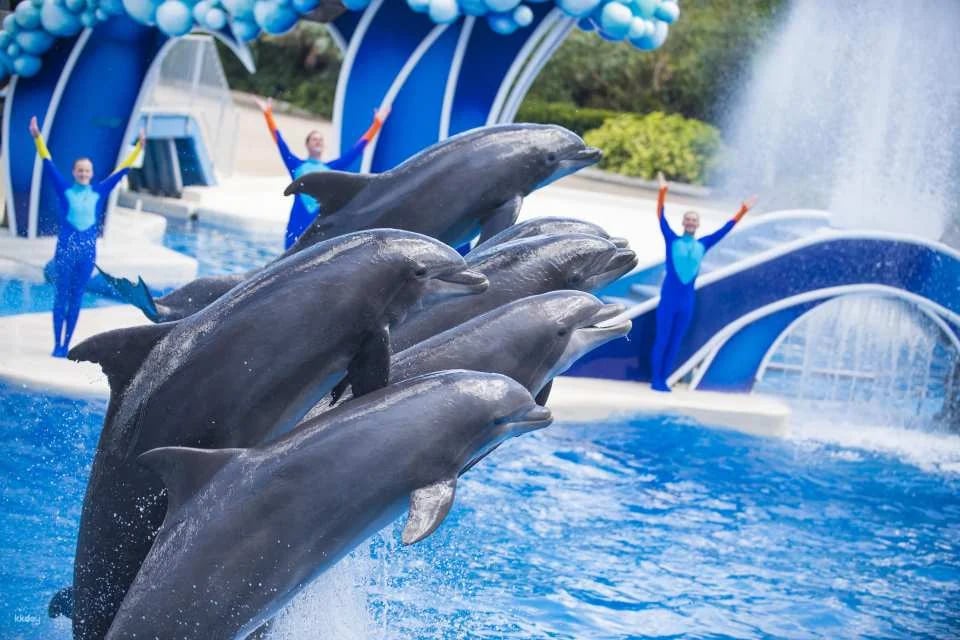 SeaWorld Orlando, Aquatica Orlando, Busch Gardens Tampa Bay & Adventure Island Tampa Bay Tickets | All-Day Dining Deal