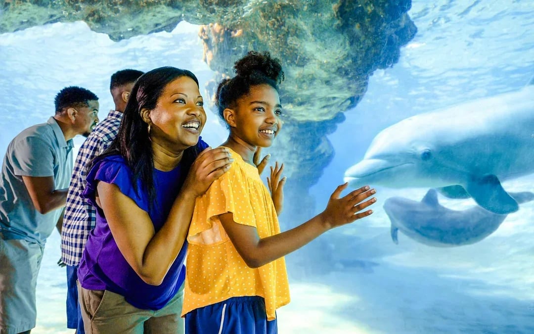 SeaWorld Orlando: Entry Tickets with All-Day Dining Add-On Image 1
