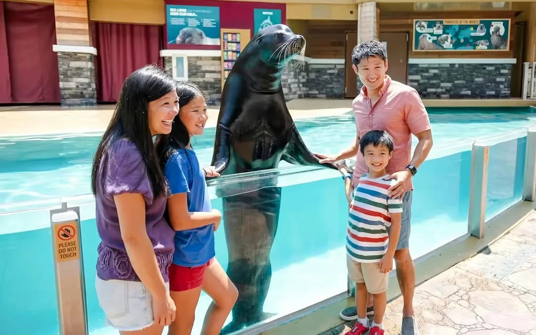 SeaWorld Orlando Fun Cards 2026 Image 1