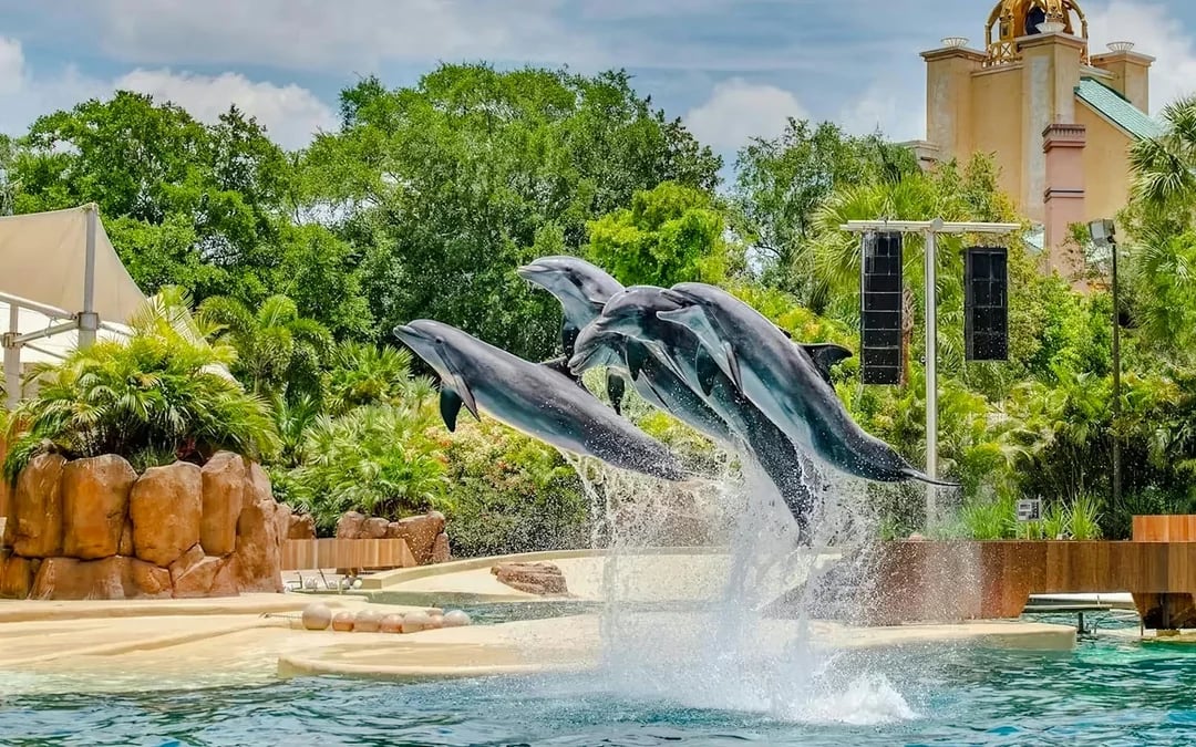 SeaWorld Orlando Fun Cards 2026 Image 2