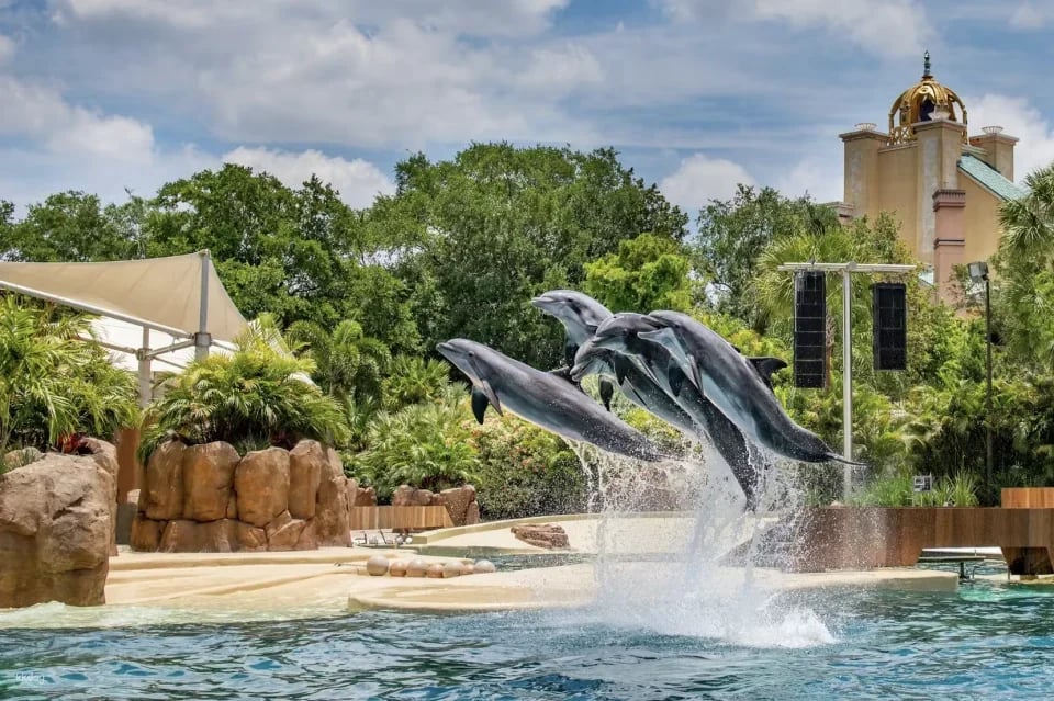 SeaWorld Orlando