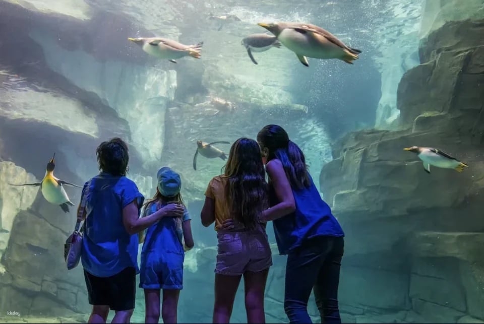 SeaWorld Orlando