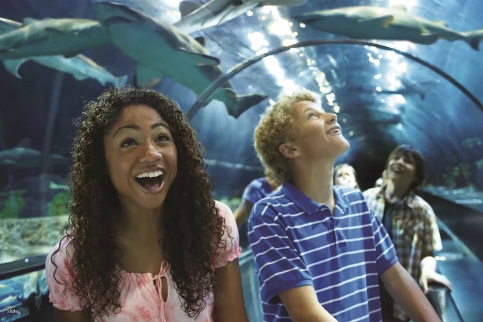 SeaWorld Orlando