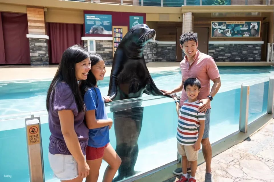 SeaWorld Orlando