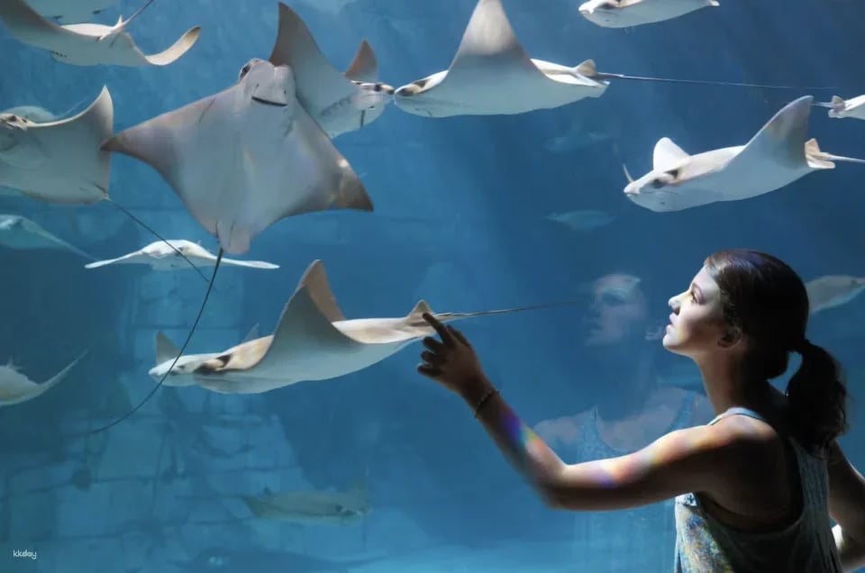 SeaWorld Orlando