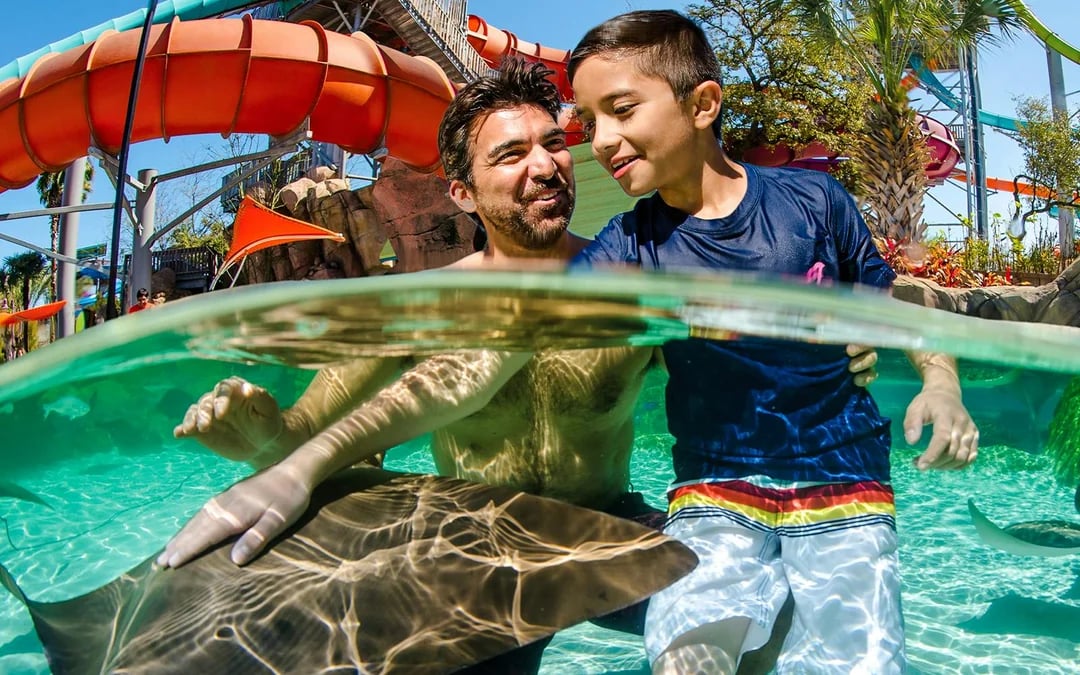 SeaWorld San Antonio: Entry Tickets with All-Day Dining Add-On Image 3