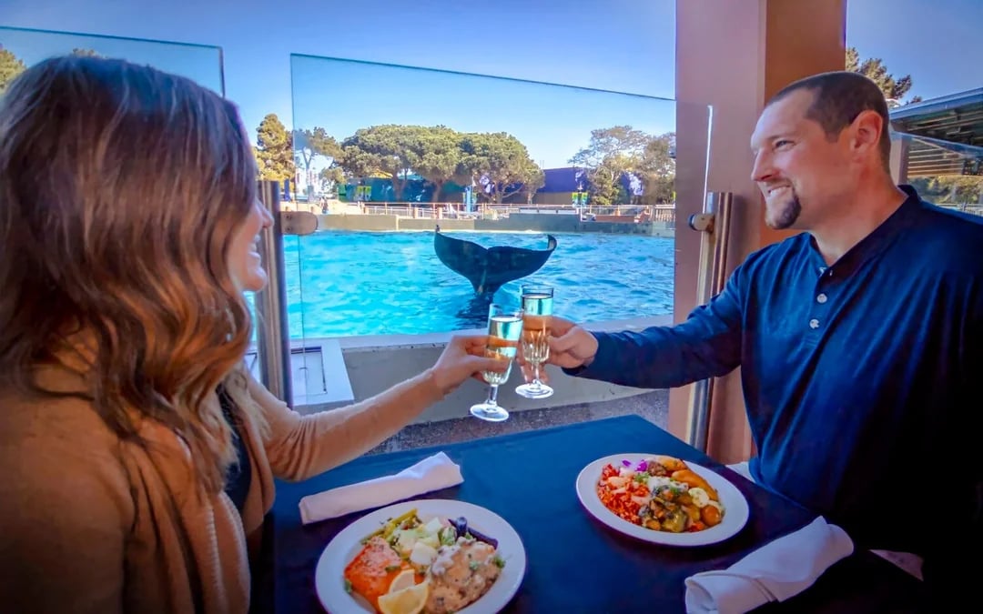 SeaWorld San Antonio: Entry Tickets with All-Day Dining Add-On Image 4