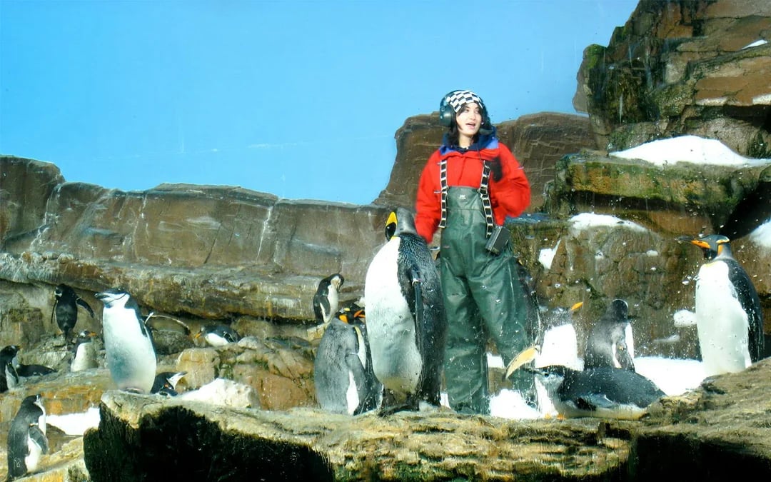 SeaWorld San Antonio Season Pass 2026 Image 5