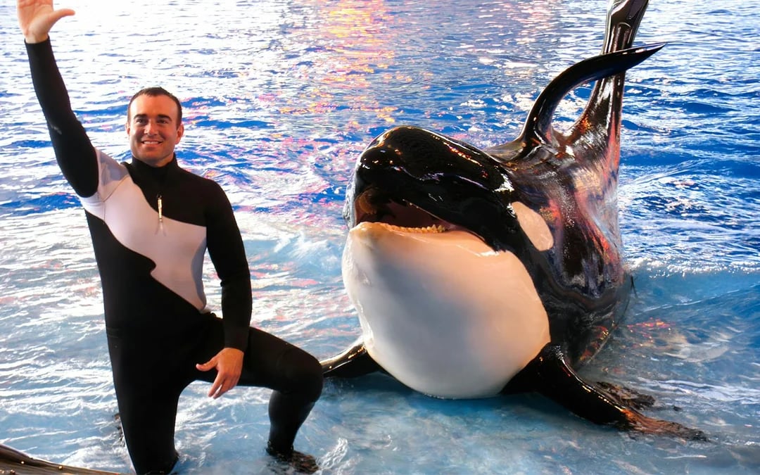 SeaWorld San Antonio: Two-Day Flex Tickets Image 11