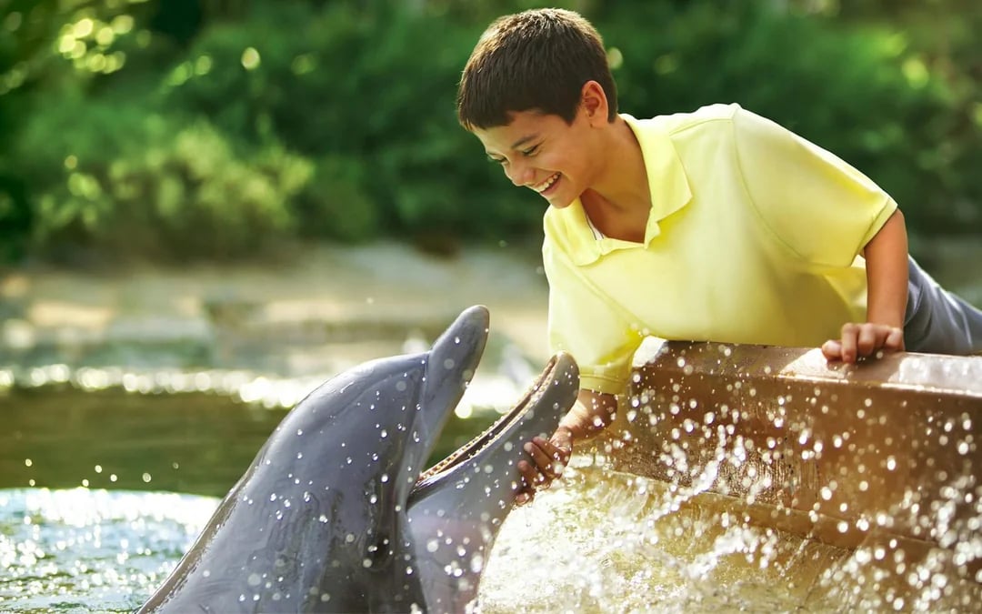 SeaWorld San Antonio: Two-Day Flex Tickets Image 8