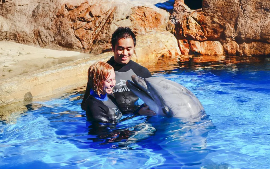 SeaWorld San Diego 2-Day Tickets Image 1