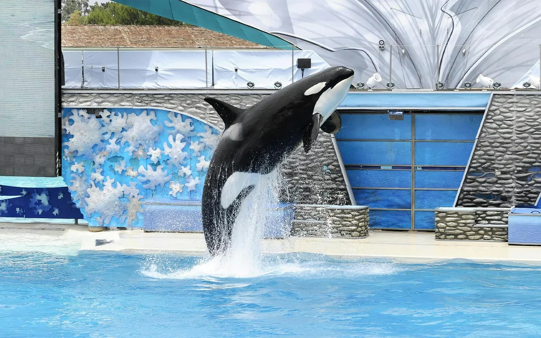 SeaWorld San Diego 2-Day Tickets Image 2