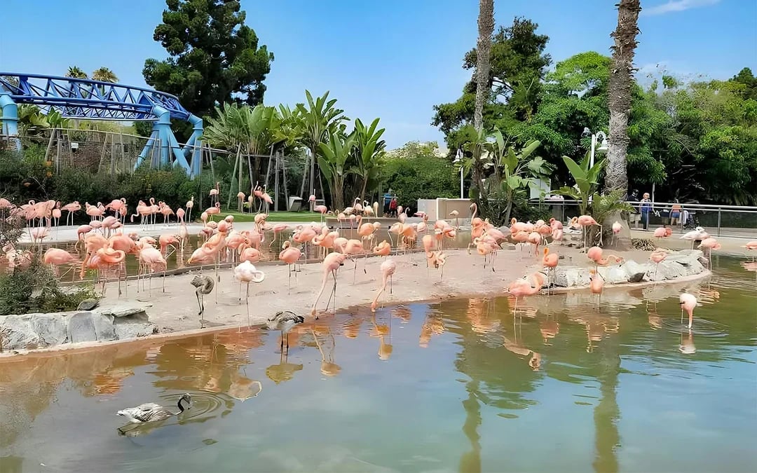 SeaWorld San Diego 2-Day Tickets Image 7