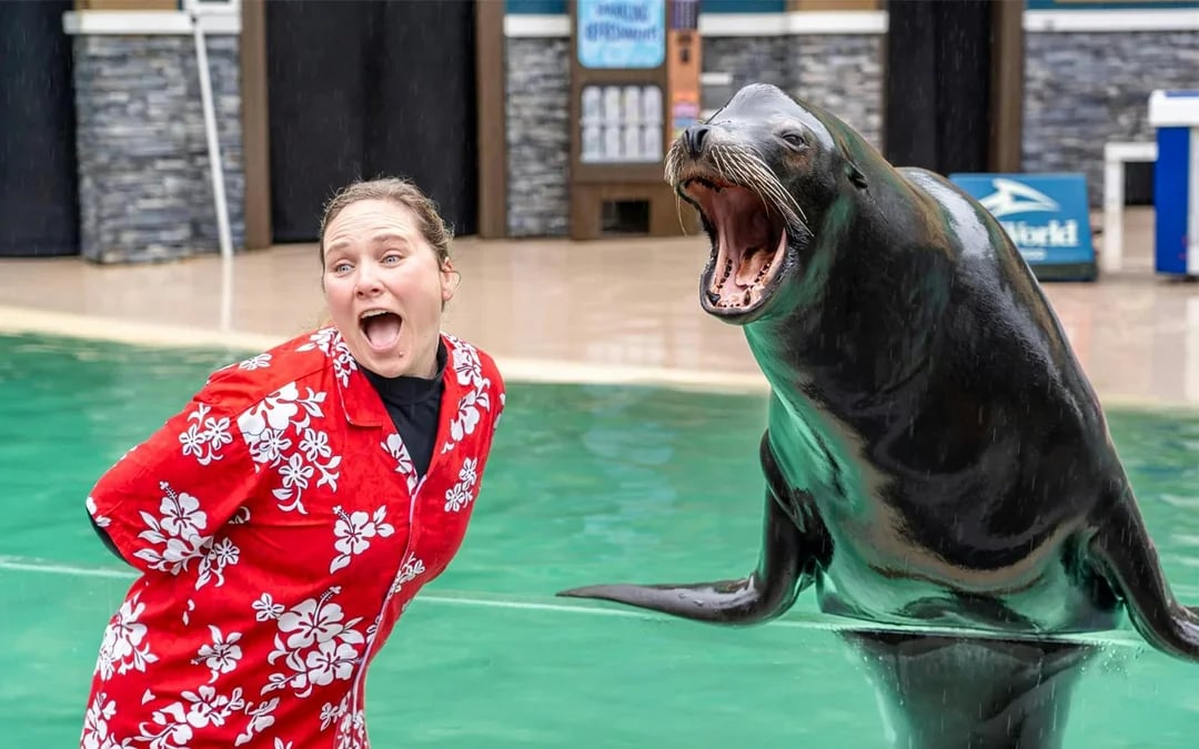 SeaWorld San Diego Annual Passes 2026 Image 2