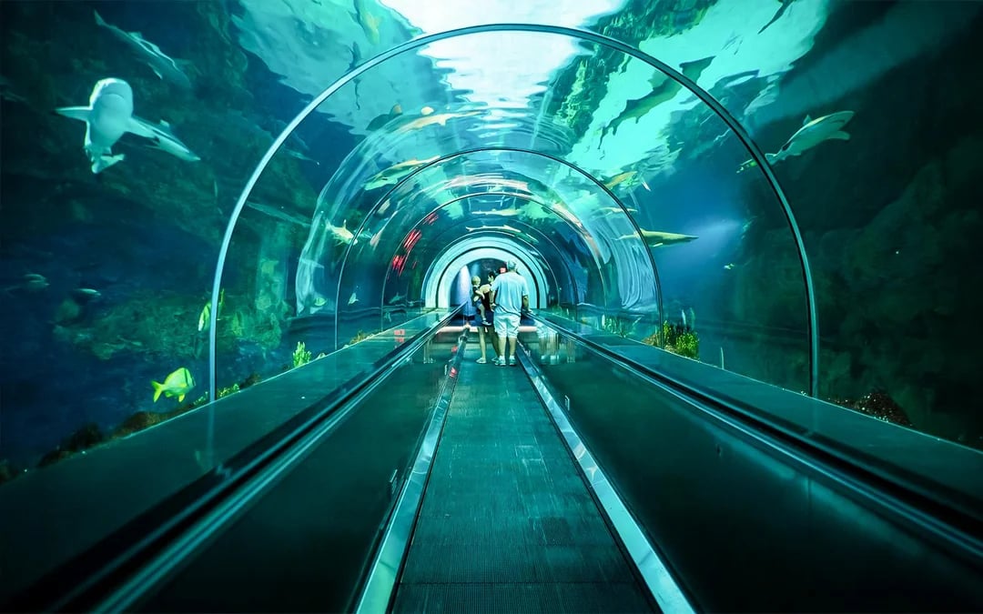 SeaWorld San Diego Annual Passes 2026 Image 9