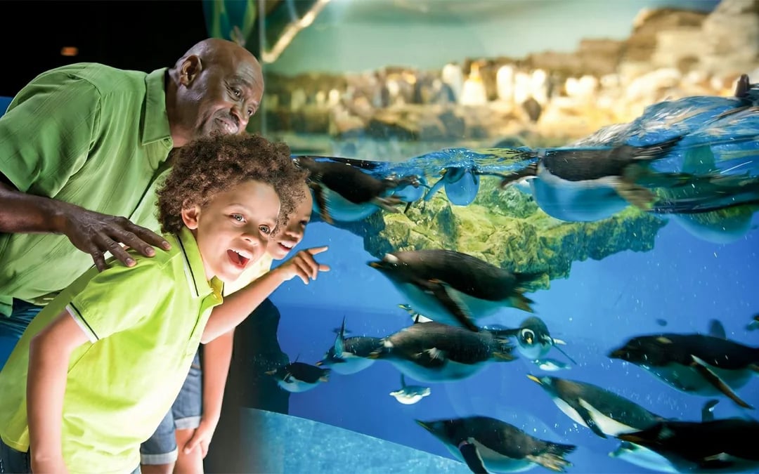 SeaWorld San Diego Annual Passes 2026 Image 10