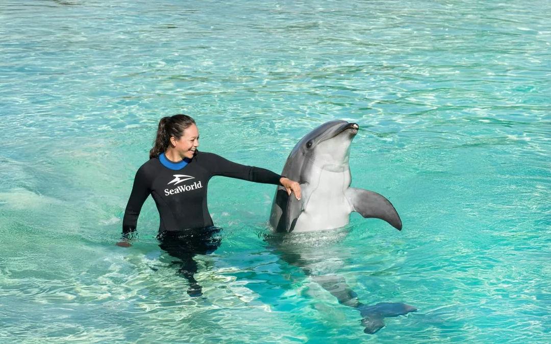 SeaWorld San Diego: Entry Tickets with All-Day Dining Add-On Image 5