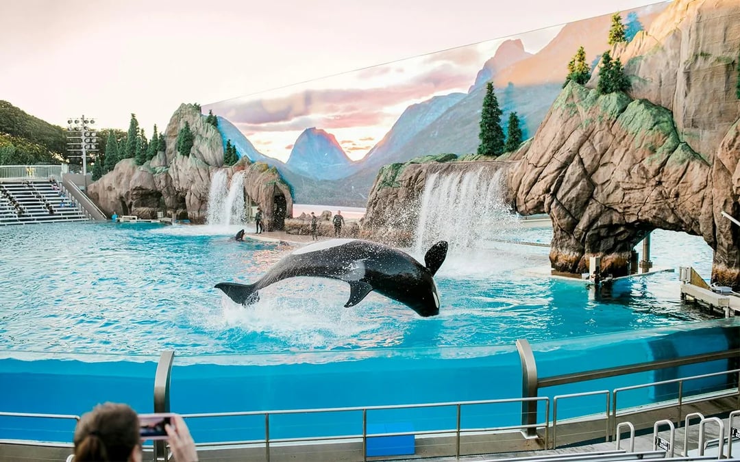 SeaWorld San Diego Fun Cards 2026 Image 7