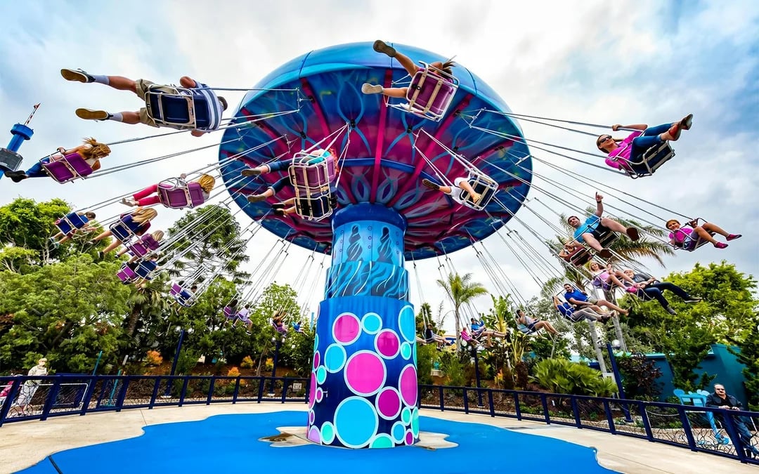 SeaWorld San Diego Fun Cards 2026 Image 10