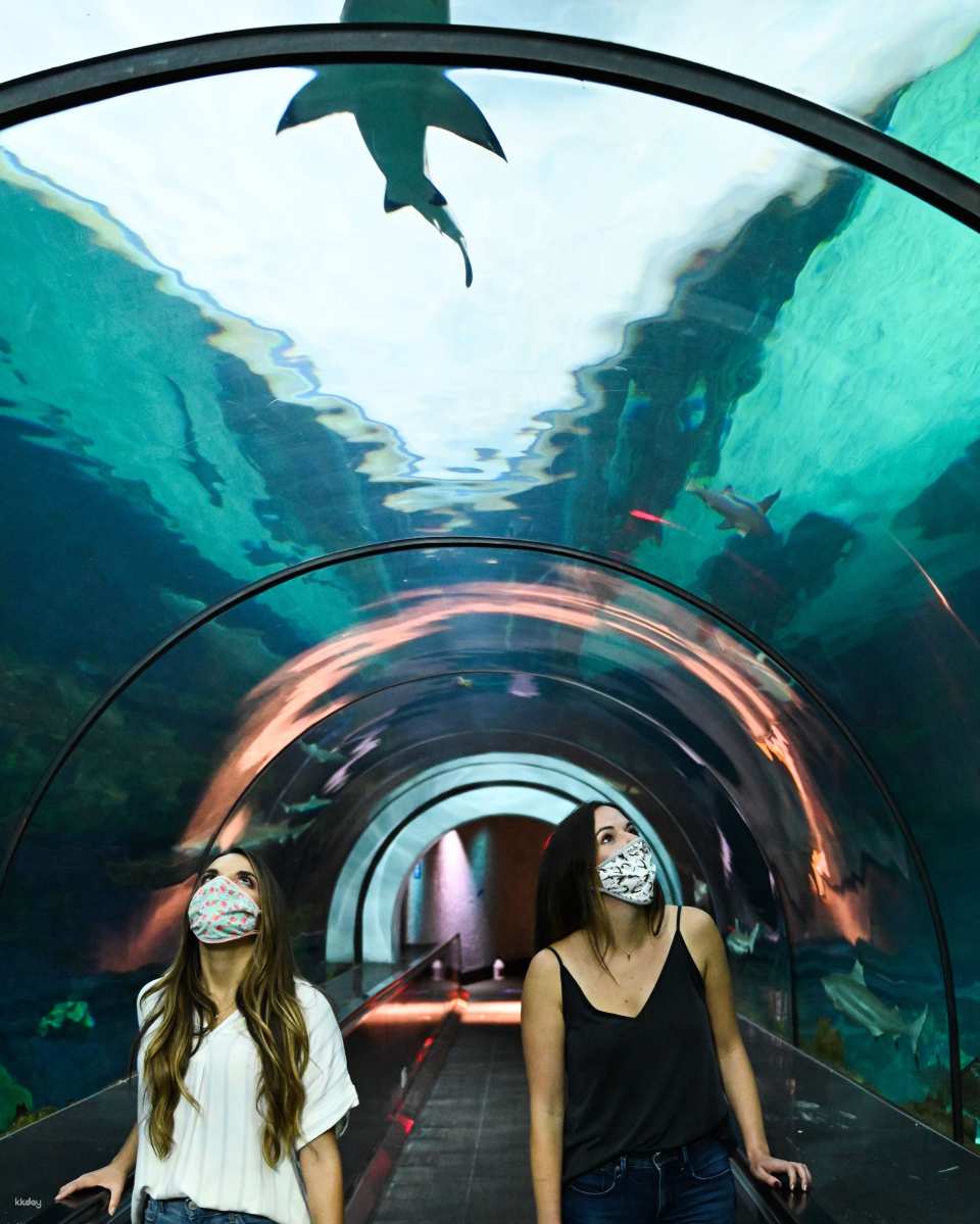 SeaWorld San Diego Ticket | California