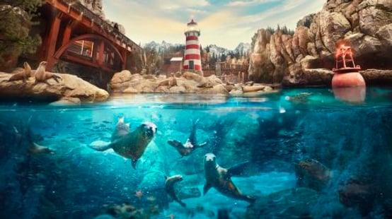 SeaWorld® Yas Island
