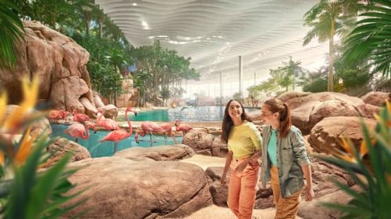 SeaWorld® Yas Island
