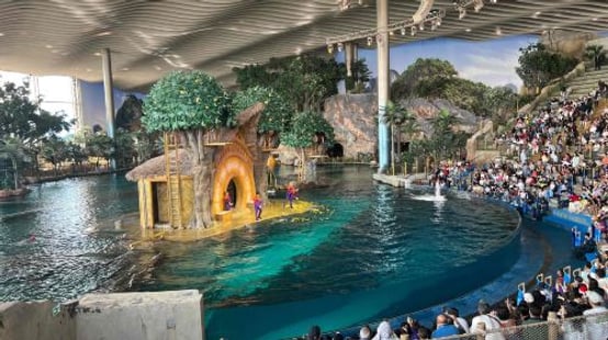 SeaWorld® Yas Island