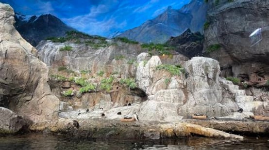 SeaWorld® Yas Island