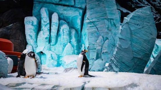SeaWorld® Yas Island